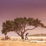 11222372_866953950052544_1447322094977370905_o