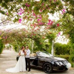 11337041_866953766719229_809452126680394007_o