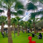 53172797_1935417389840227_8583224697737445376_n