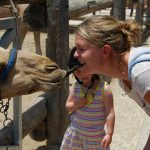 558454_393061354075846_1608174755_n