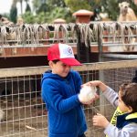 56887152_1985351481513484_553242975145033728_n