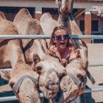 72282287_2280196718695624_8179691711161696256_n