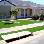 Grass 1