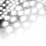 19105605_839572252861094_7695199285767232541_n