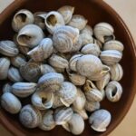 216307455_4178845492235279_316286343806124009_n