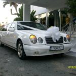 10888795_353714821476587_1971610472522014242_n