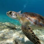 308118558_772530297513412_6292795782751341356_n