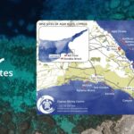 330439905_1226124761323015_3121472336567479328_n