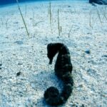 350505873_1706297216476377_2171526842364201635_n