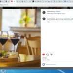 Cheese & Wine Pairing 2