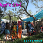 Cover . 1 . September 2026_